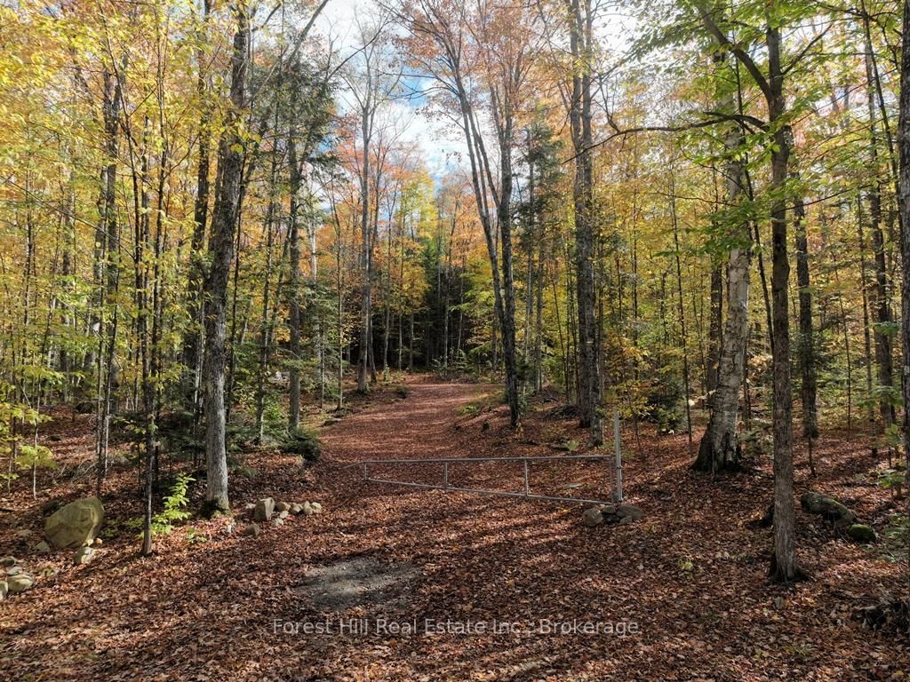 4488 Kawagama Lake Road • Algonquin Highlands, ON photo 33