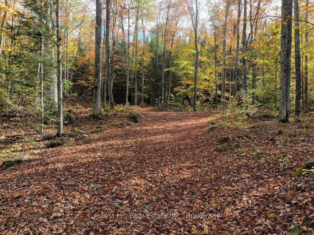 4488 Kawagama Lake Road • Algonquin Highlands, ON photo 36