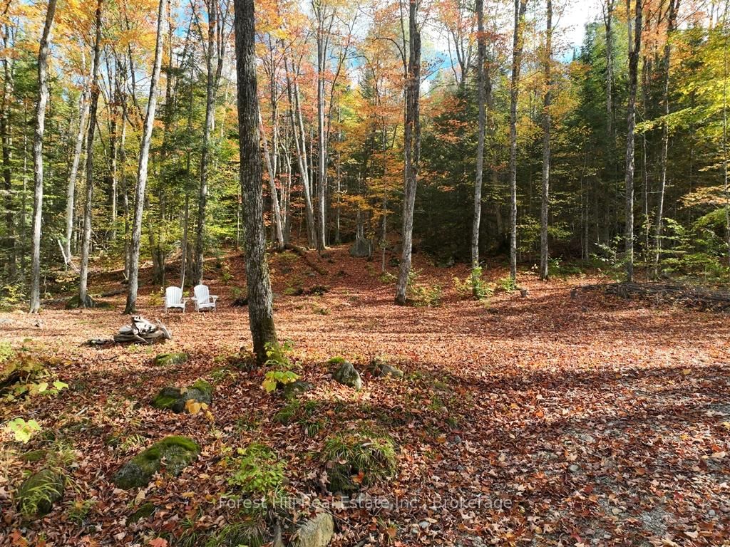 4488 Kawagama Lake Road • Algonquin Highlands, ON photo 38