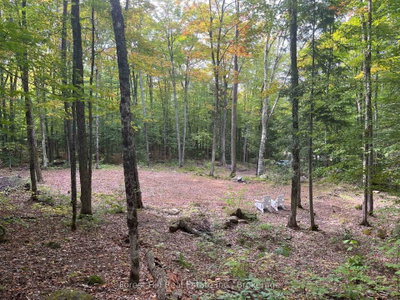 4488 Kawagama Lake Road • Algonquin Highlands, ON photo 4