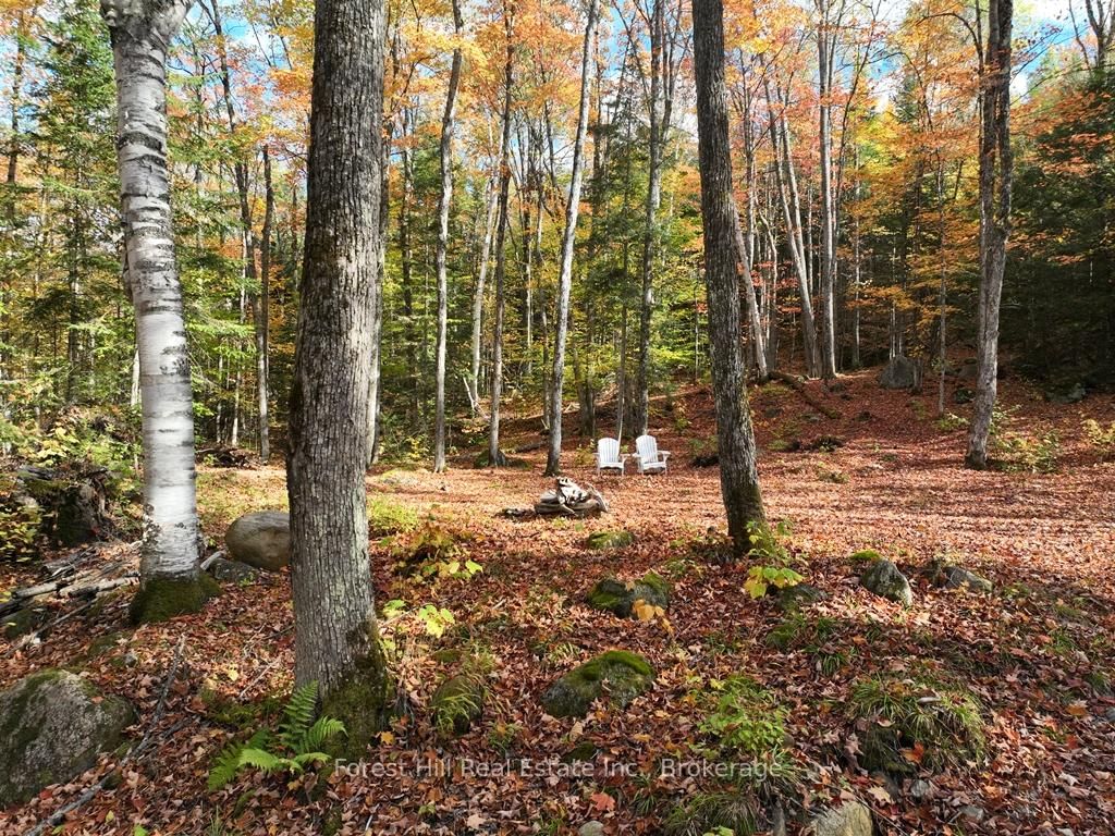 4488 Kawagama Lake Road • Algonquin Highlands, ON photo 40