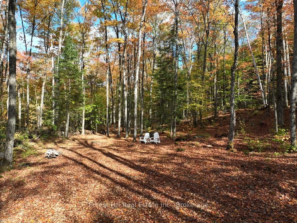 4488 Kawagama Lake Road • Algonquin Highlands, ON photo 41
