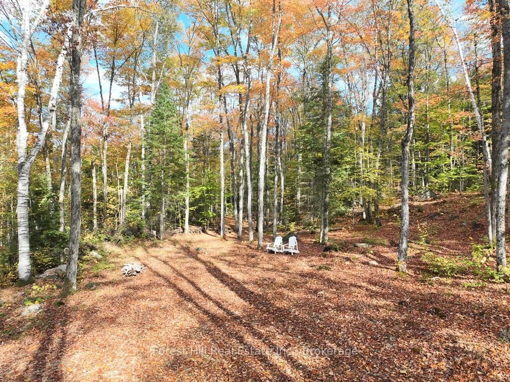 4488 Kawagama Lake Road • Algonquin Highlands, ON photo 42