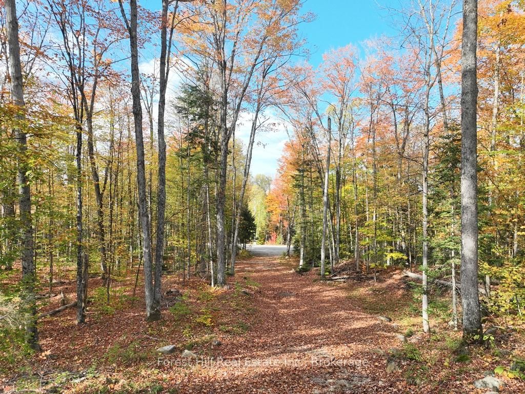 4488 Kawagama Lake Road • Algonquin Highlands, ON photo 43