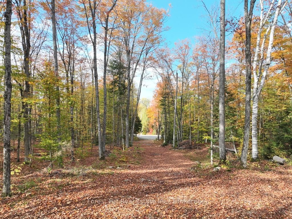4488 Kawagama Lake Road • Algonquin Highlands, ON photo 44