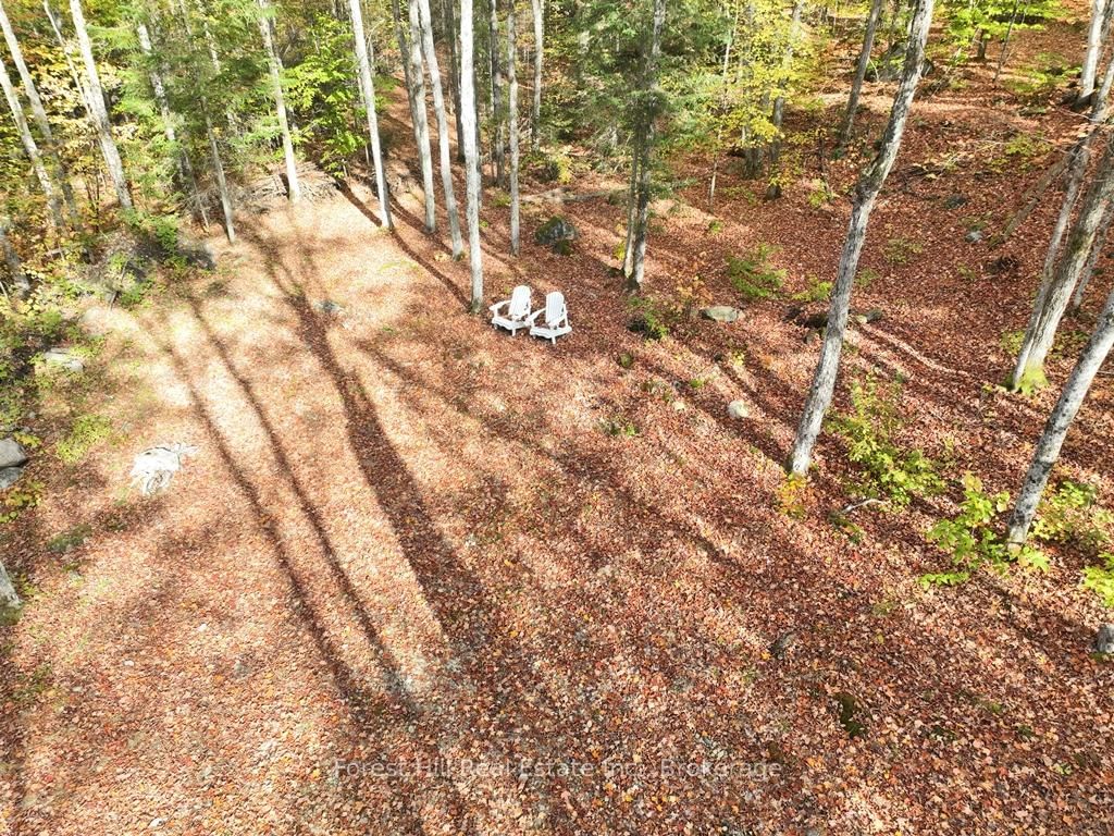4488 Kawagama Lake Road • Algonquin Highlands, ON photo 46