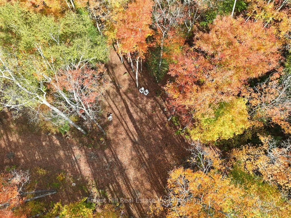 4488 Kawagama Lake Road • Algonquin Highlands, ON photo 47