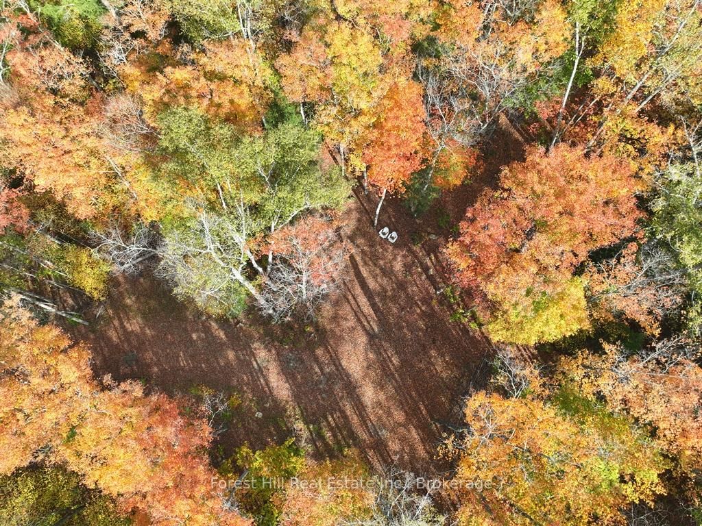4488 Kawagama Lake Road • Algonquin Highlands, ON photo 48
