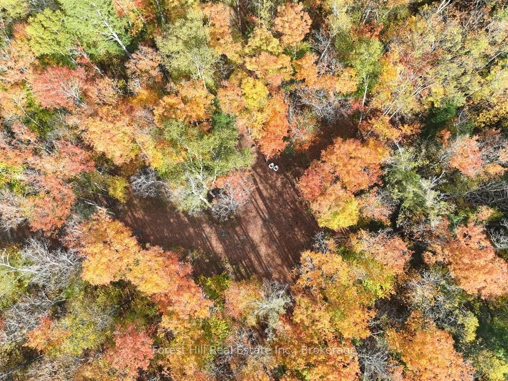 4488 Kawagama Lake Road • Algonquin Highlands, ON photo 49