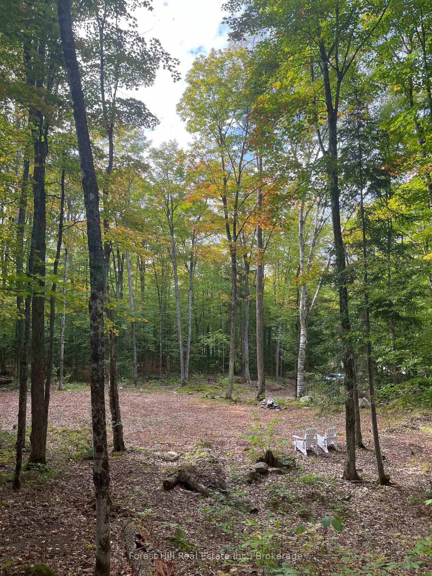 4488 Kawagama Lake Road • Algonquin Highlands, ON photo 5