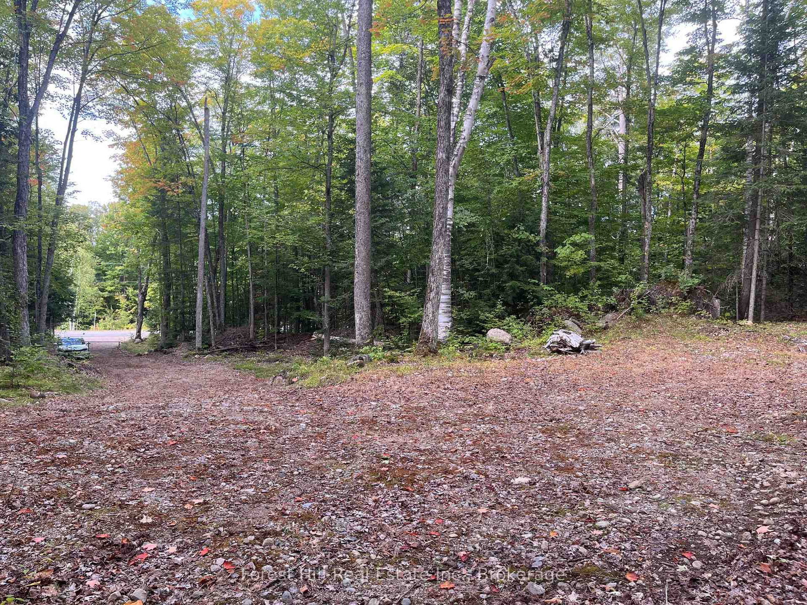 4488 Kawagama Lake Road • Algonquin Highlands, ON photo 6