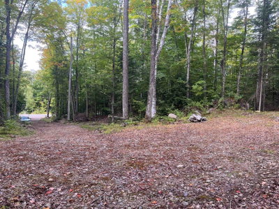 4488 Kawagama Lake Road • Algonquin Highlands, ON photo 6