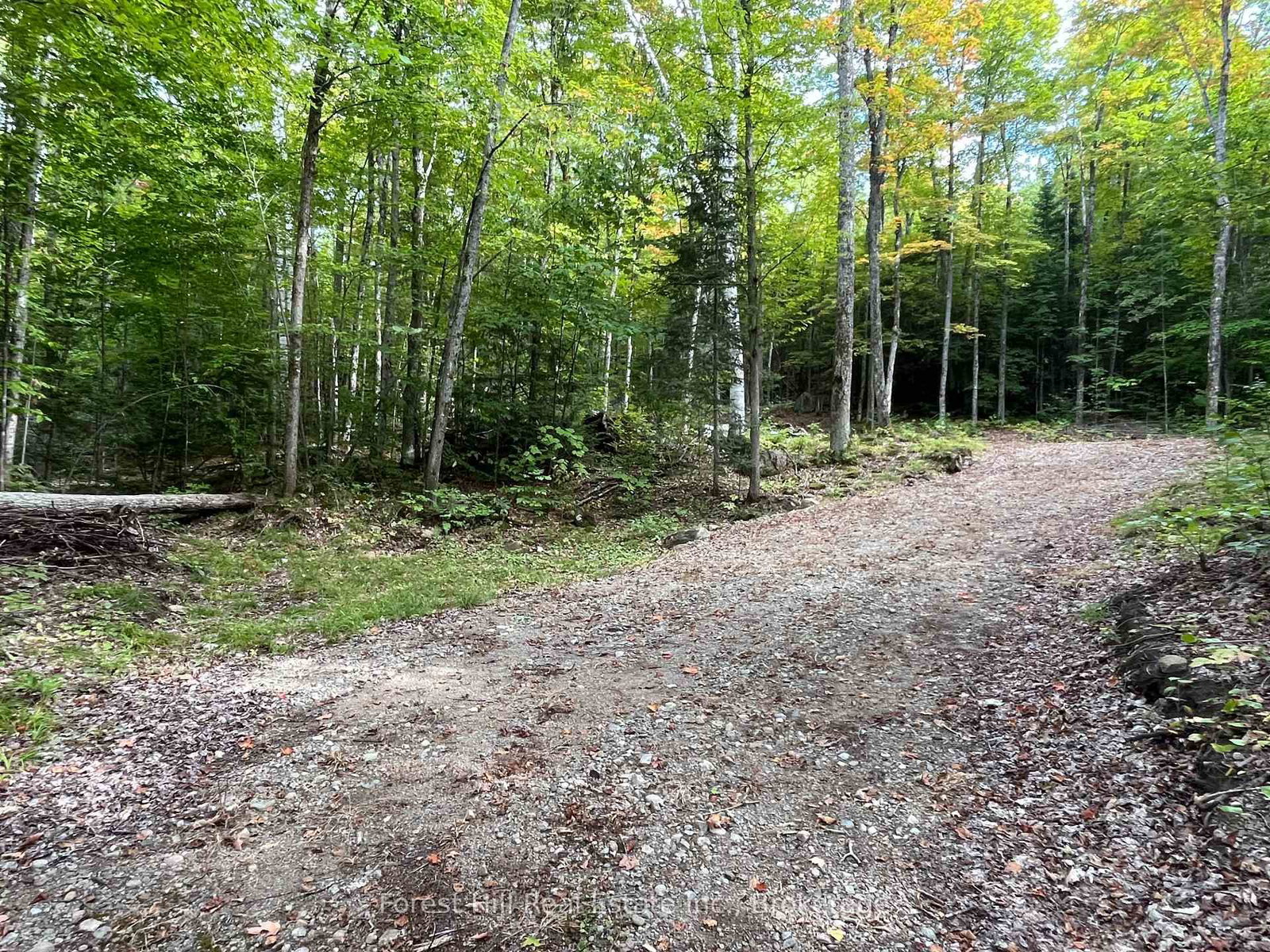 4488 Kawagama Lake Road • Algonquin Highlands, ON photo 8