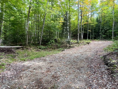 4488 Kawagama Lake Road • Algonquin Highlands, ON photo 8