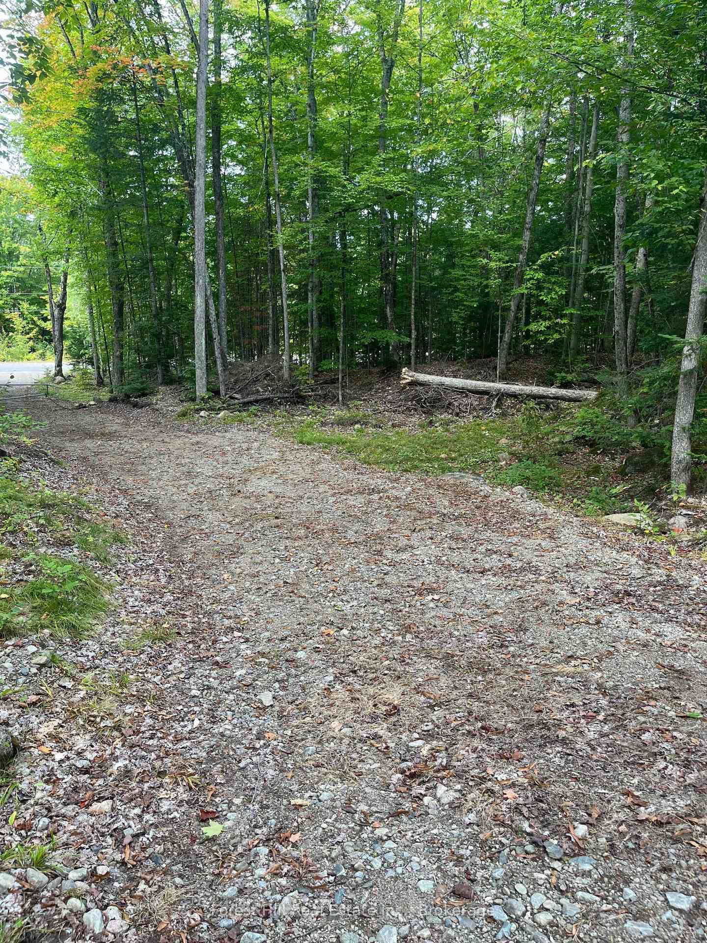 4488 Kawagama Lake Road • Algonquin Highlands, ON photo 9