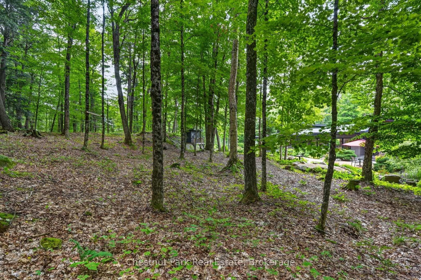 115 Lindgren Road E • Huntsville, ON photo 46