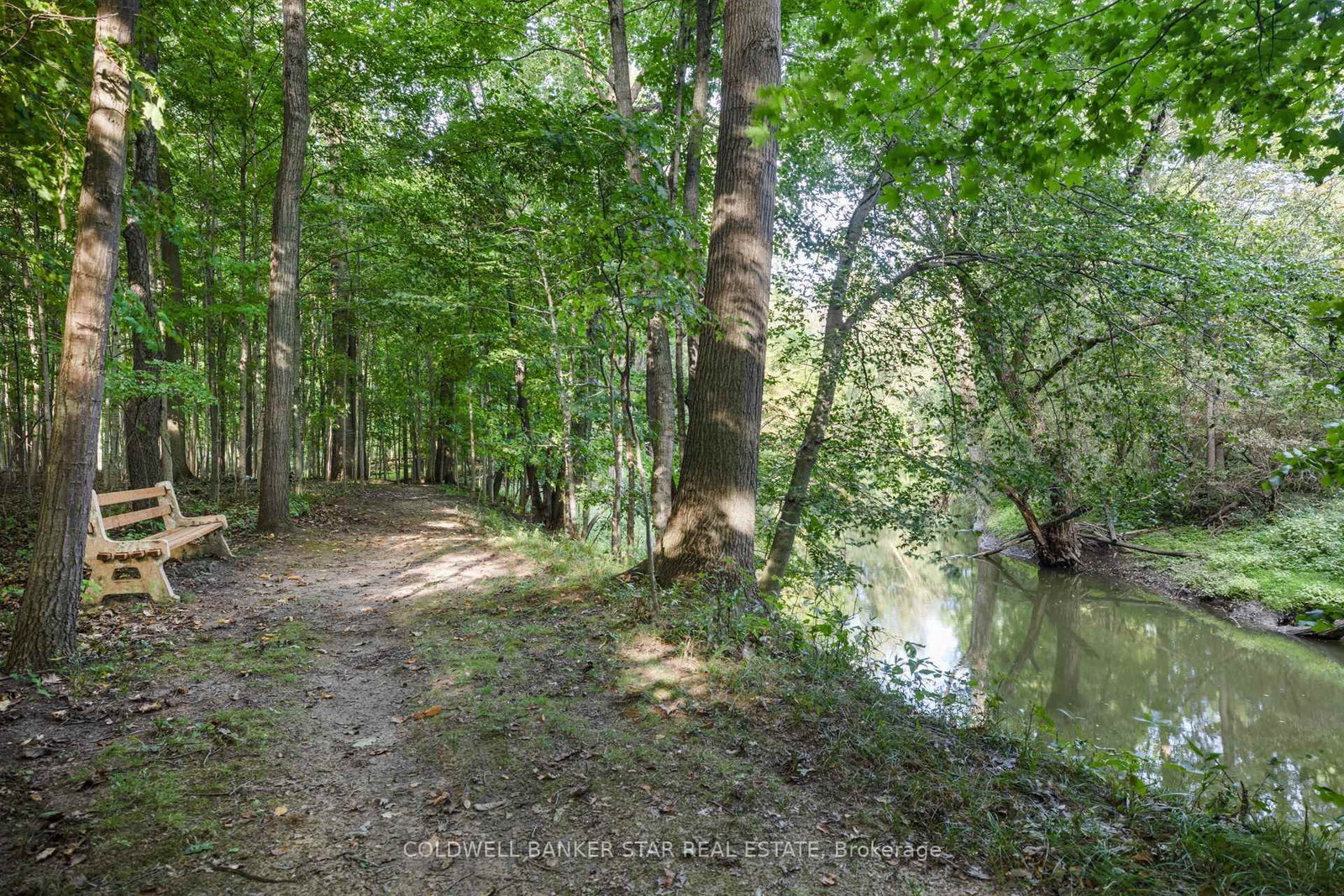26034 Kerwood Road • Adelaide Metcalfe, ON photo 43