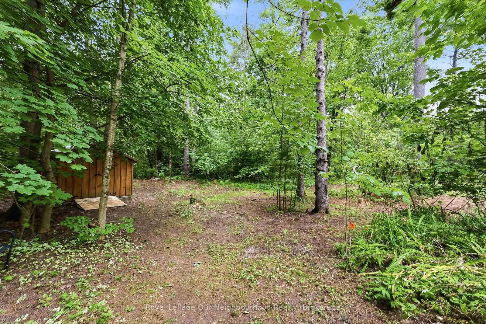 856 Bel Twp 2nd Lane • Havelock-Belmont-Methuen, ON photo 40