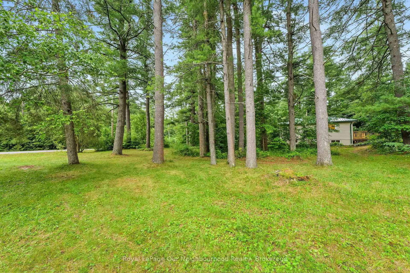 856 Bel Twp 2nd Lane • Havelock-Belmont-Methuen, ON photo 46