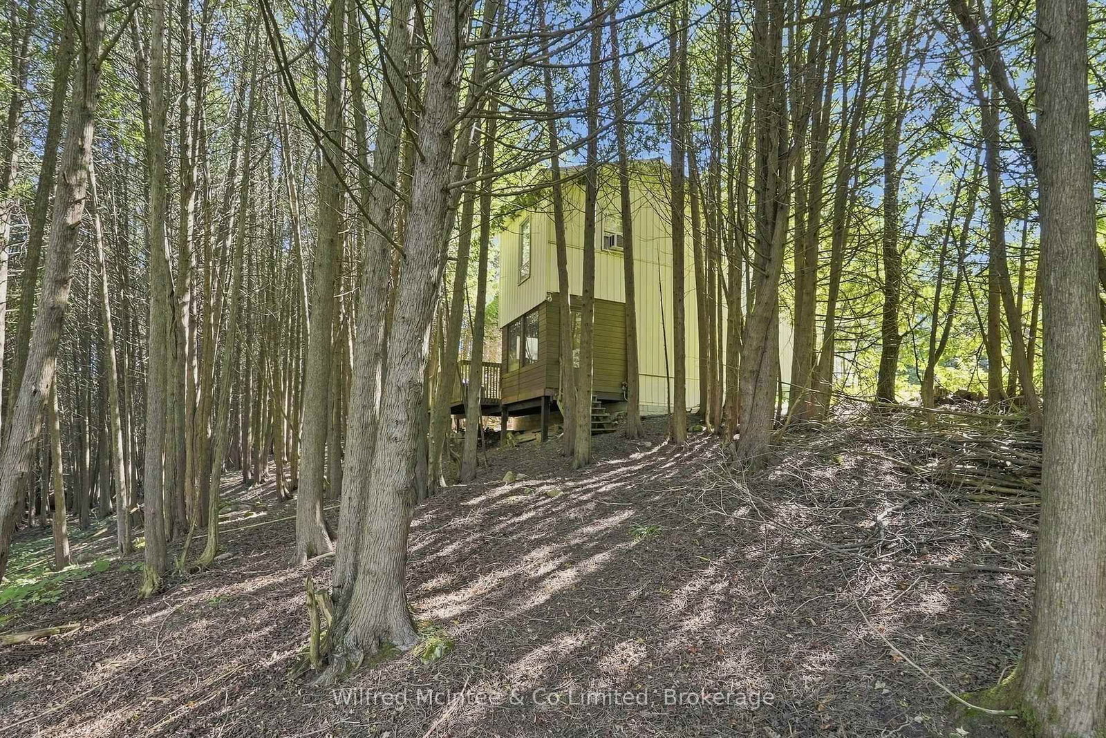 493537 Baptist Church Road W • West Grey, ON photo 31