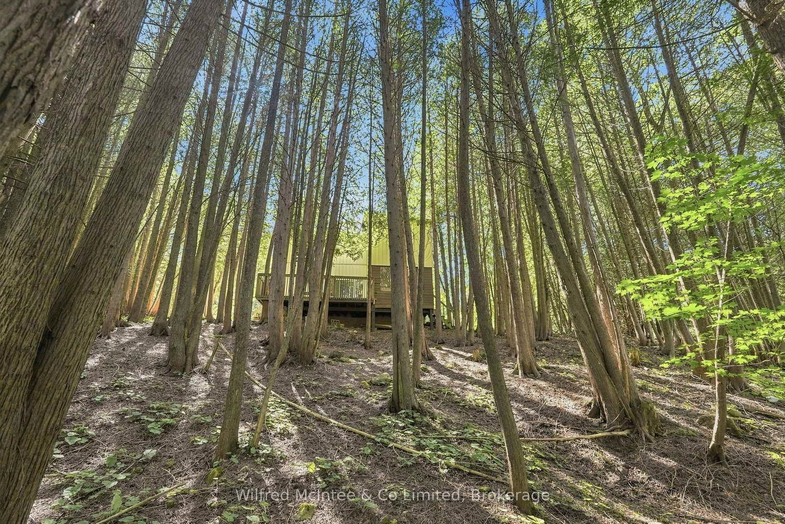 493537 Baptist Church Road W • West Grey, ON photo 32