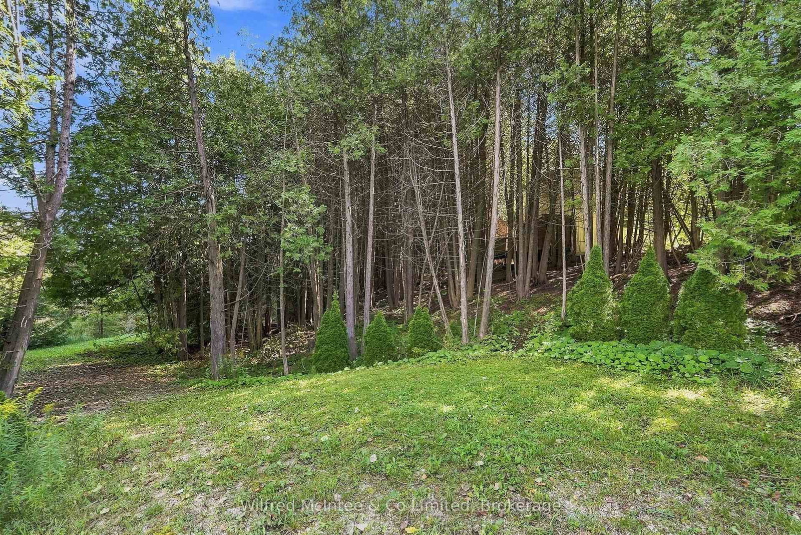 493537 Baptist Church Road W • West Grey, ON photo 36