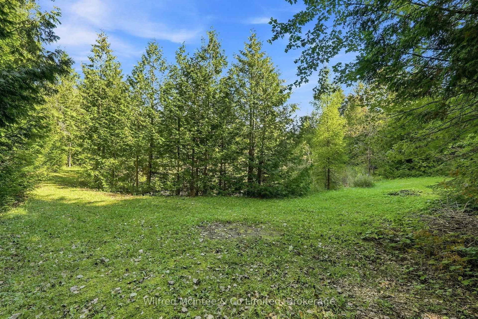 493537 Baptist Church Road W • West Grey, ON photo 37