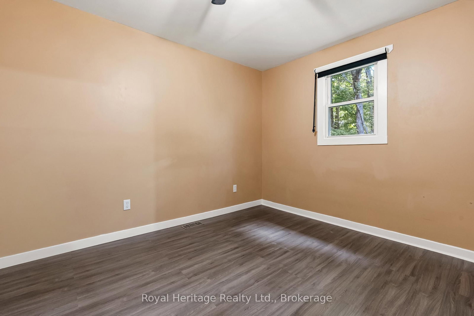 14 Morrison Street • Kawartha Lakes, ON photo 17