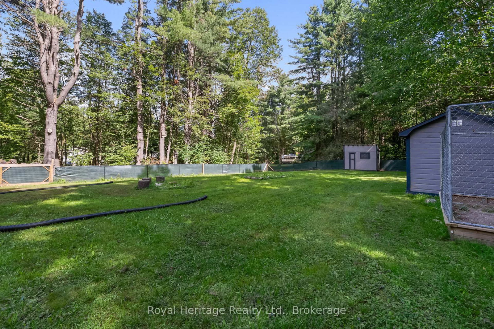 14 Morrison Street • Kawartha Lakes, ON photo 29