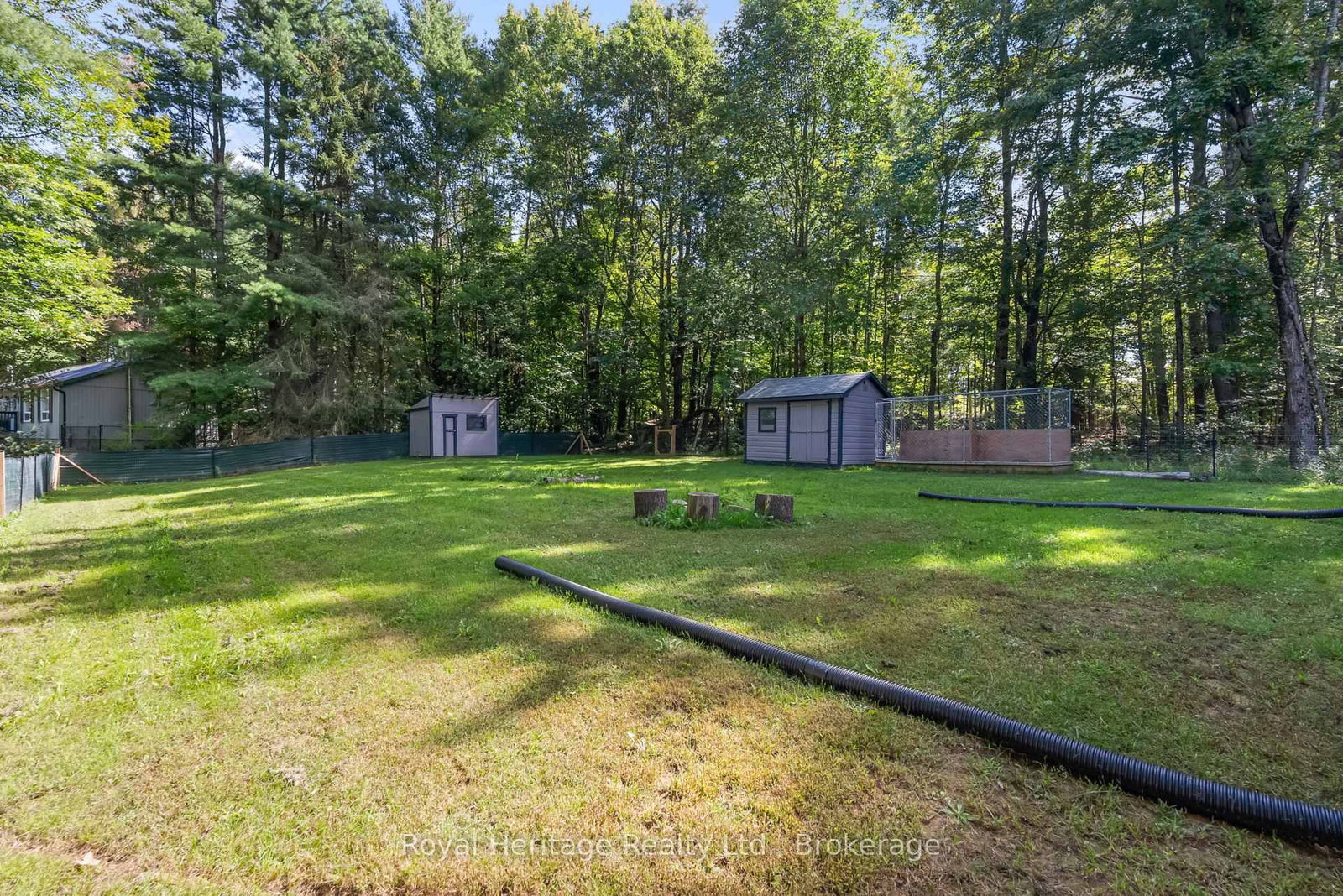 14 Morrison Street • Kawartha Lakes, ON photo 6