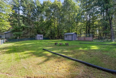 14 Morrison Street • Kawartha Lakes, ON photo 6