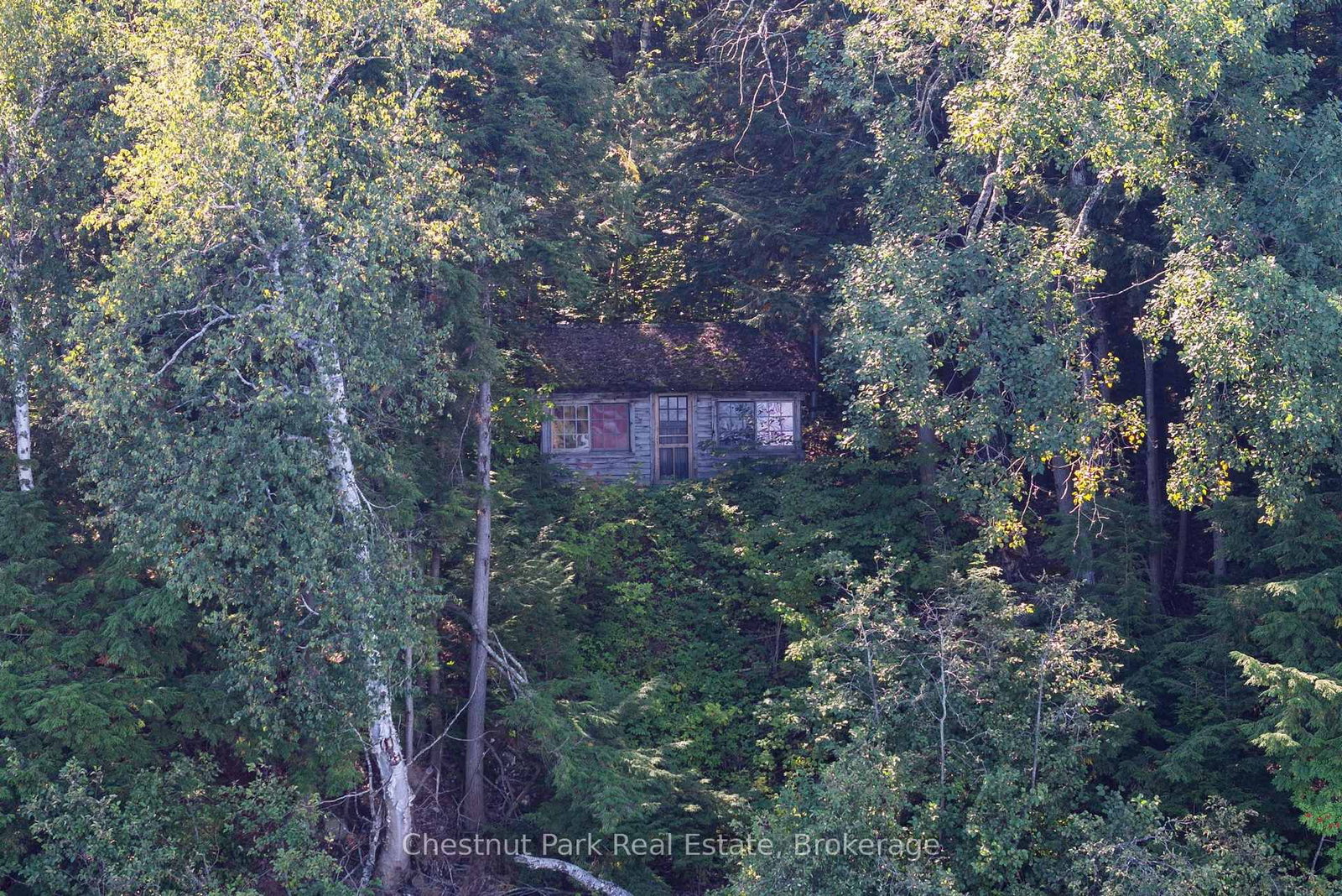 4339 Muskoka Road 117 Road • Lake of Bays, ON photo 19