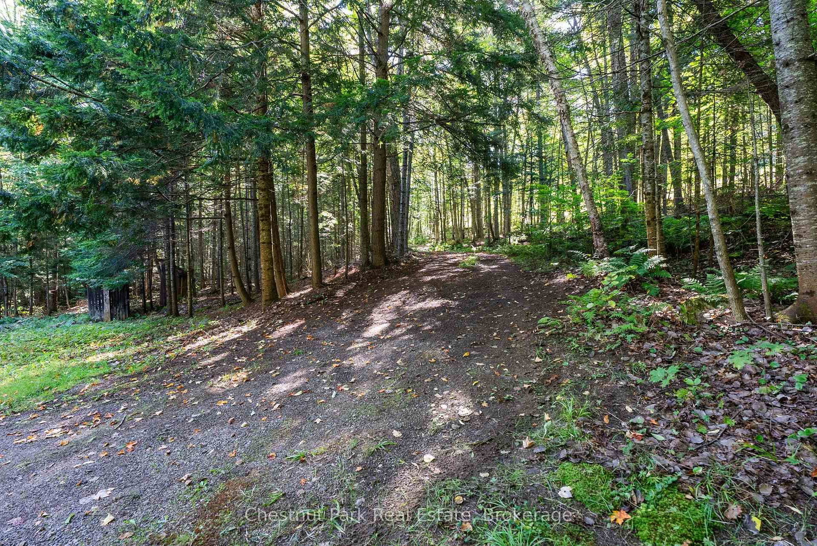 4339 Muskoka Road 117 Road • Lake of Bays, ON photo 22