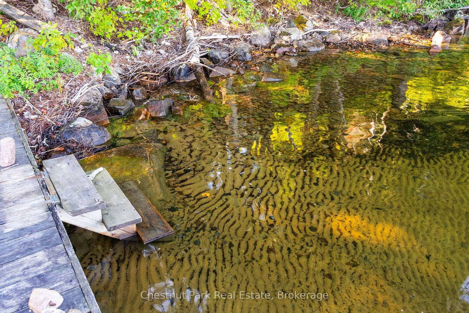 4339 Muskoka Road 117 Road • Lake of Bays, ON photo 24