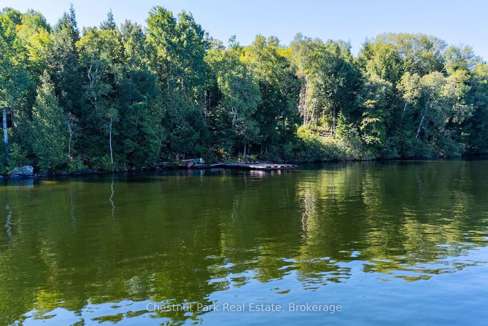 4339 Muskoka Road 117 Road • Lake of Bays, ON photo 25