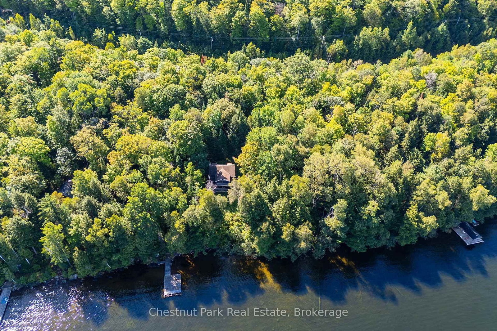4339 Muskoka Road 117 Road • Lake of Bays, ON photo 26