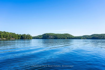 4339 Muskoka Road 117 Road • Lake of Bays, ON photo 6