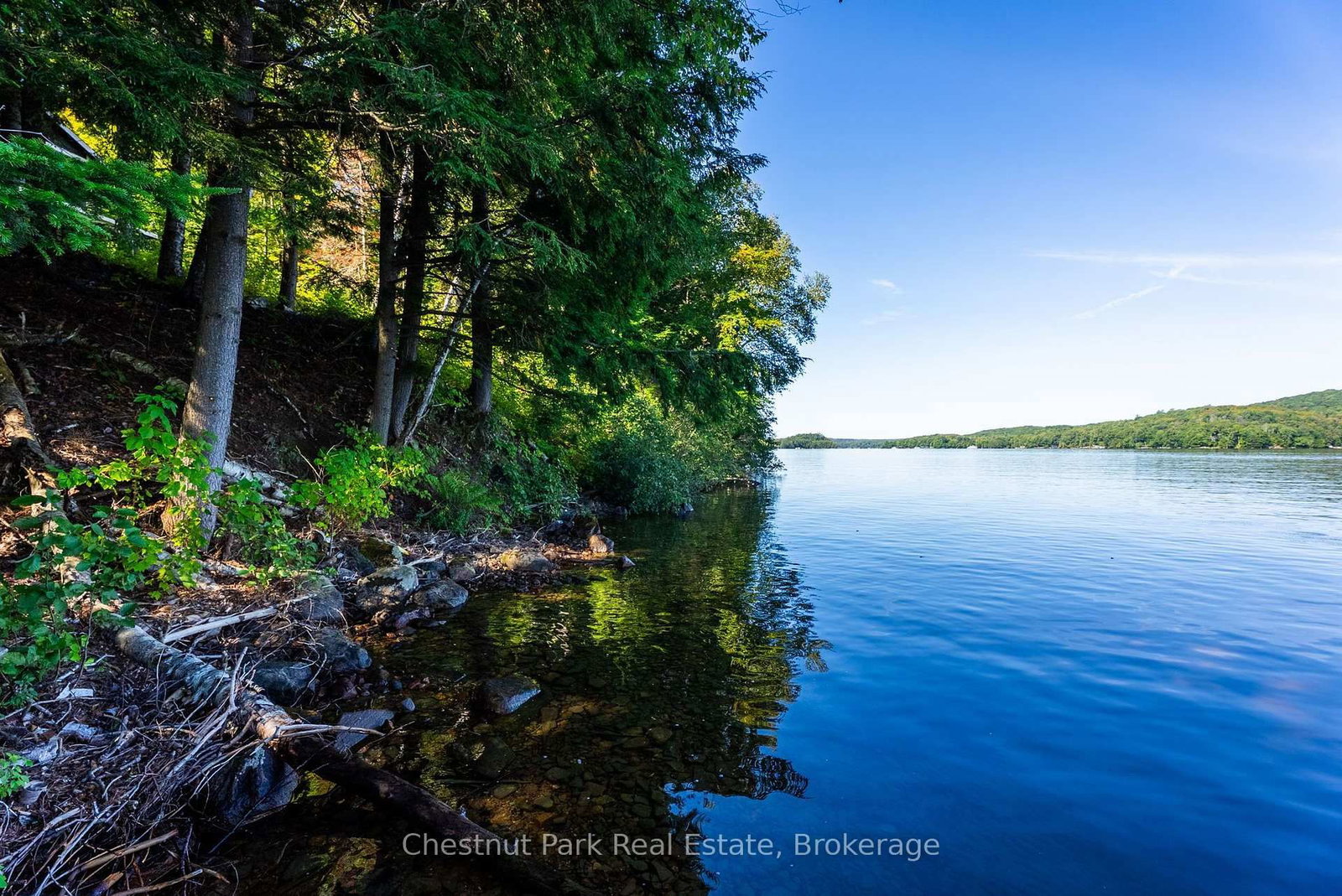 4339 Muskoka Road 117 Road • Lake of Bays, ON photo 8
