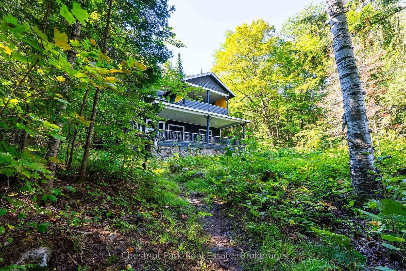 4339 Muskoka Road 117 Road • Lake of Bays, ON photo 9