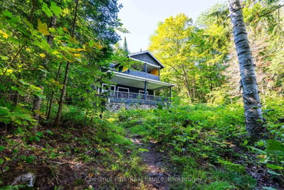 4339 Muskoka Road 117 Road • Lake of Bays, ON photo 9