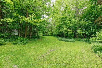LOT 22 Park Street S • Grey Highlands, ON photo 5