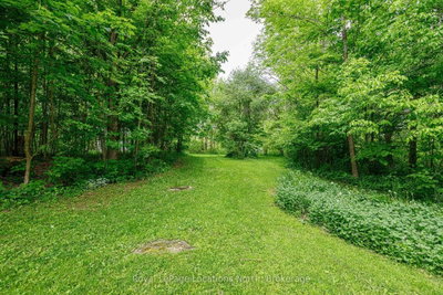 LOT 22 Park Street S • Grey Highlands, ON photo 6