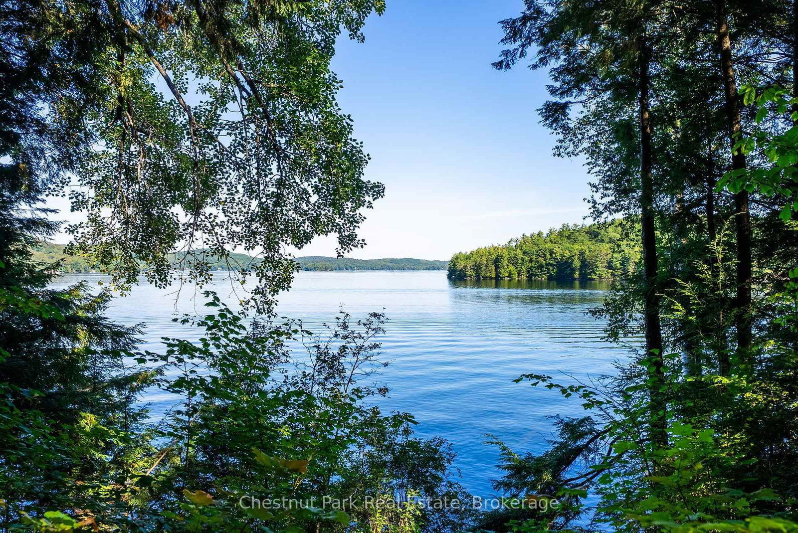 4339 Muskoka Road 117 Road • Lake of Bays, ON photo 1