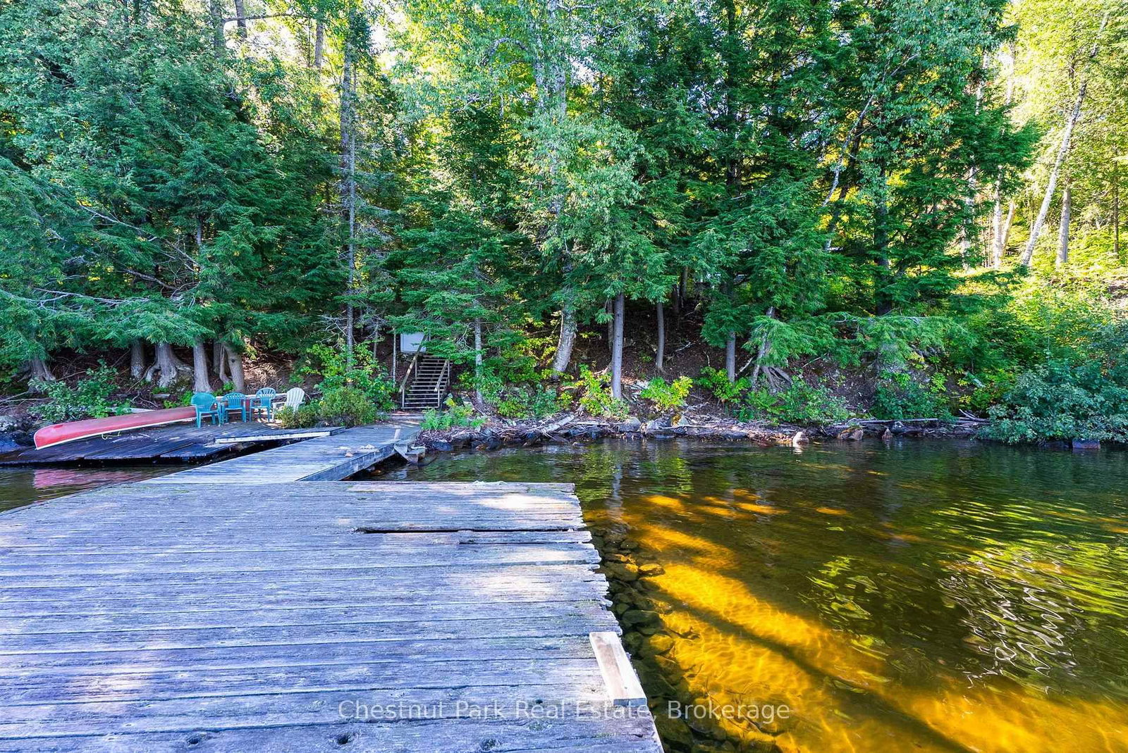 4339 Muskoka Road 117 Road • Lake of Bays, ON photo 16