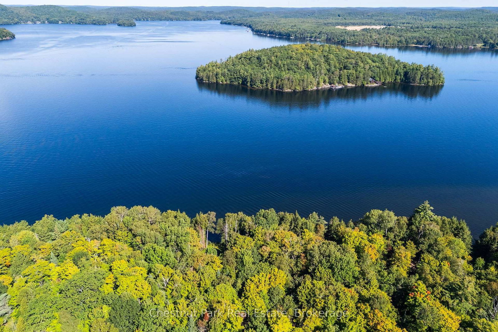 4339 Muskoka Road 117 Road • Lake of Bays, ON photo 22