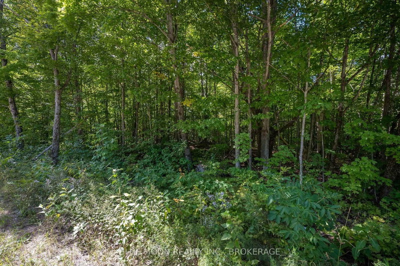 0 Myers Cave Road