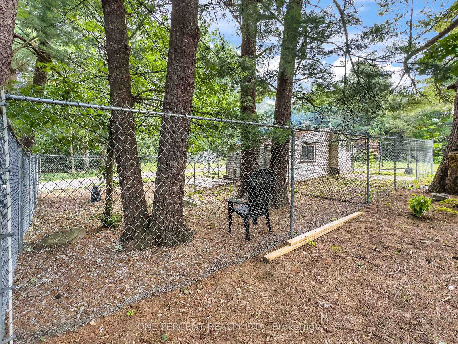 87 Fitzsimmons Road • Front of Leeds & Seeleys Bay, ON photo 39