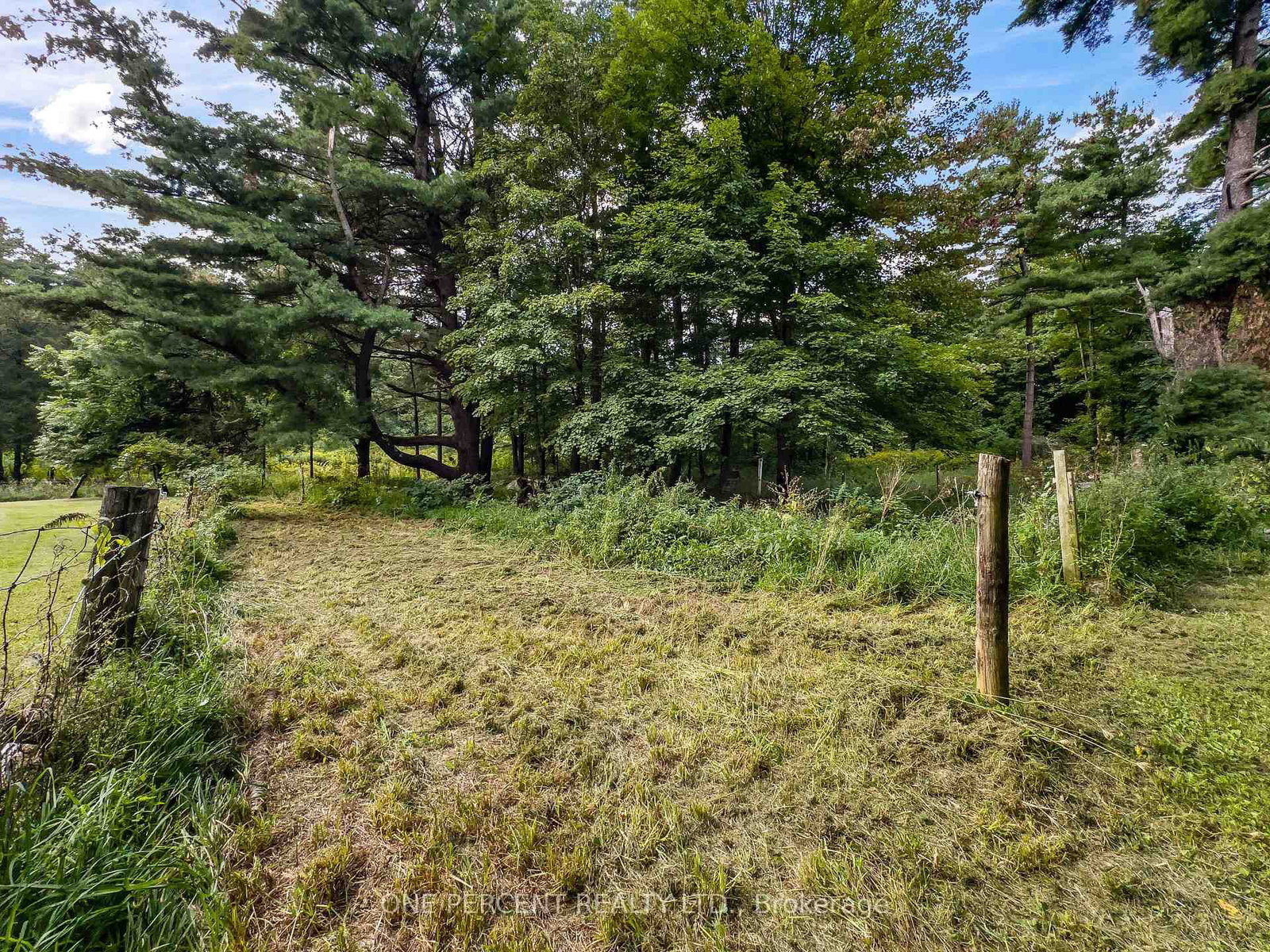 87 Fitzsimmons Road • Front of Leeds & Seeleys Bay, ON photo 44