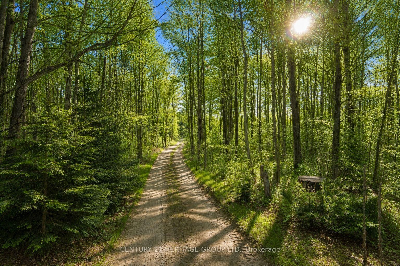580223 SIDEROAD 60 • Chatsworth, ON photo 12