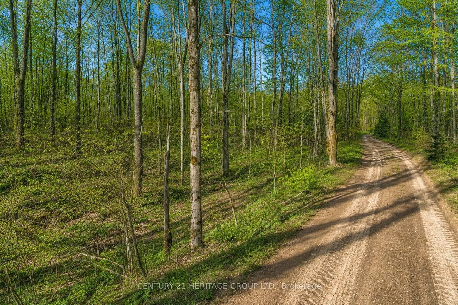 580223 SIDEROAD 60 • Chatsworth, ON photo 13